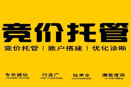 SEM运营实战：案例分析精准定位策略